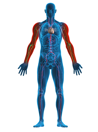 Contact screenshot 2025 08 04 142441