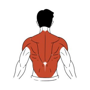 Shoulder Pain Relief Starter Plan (At Home)
