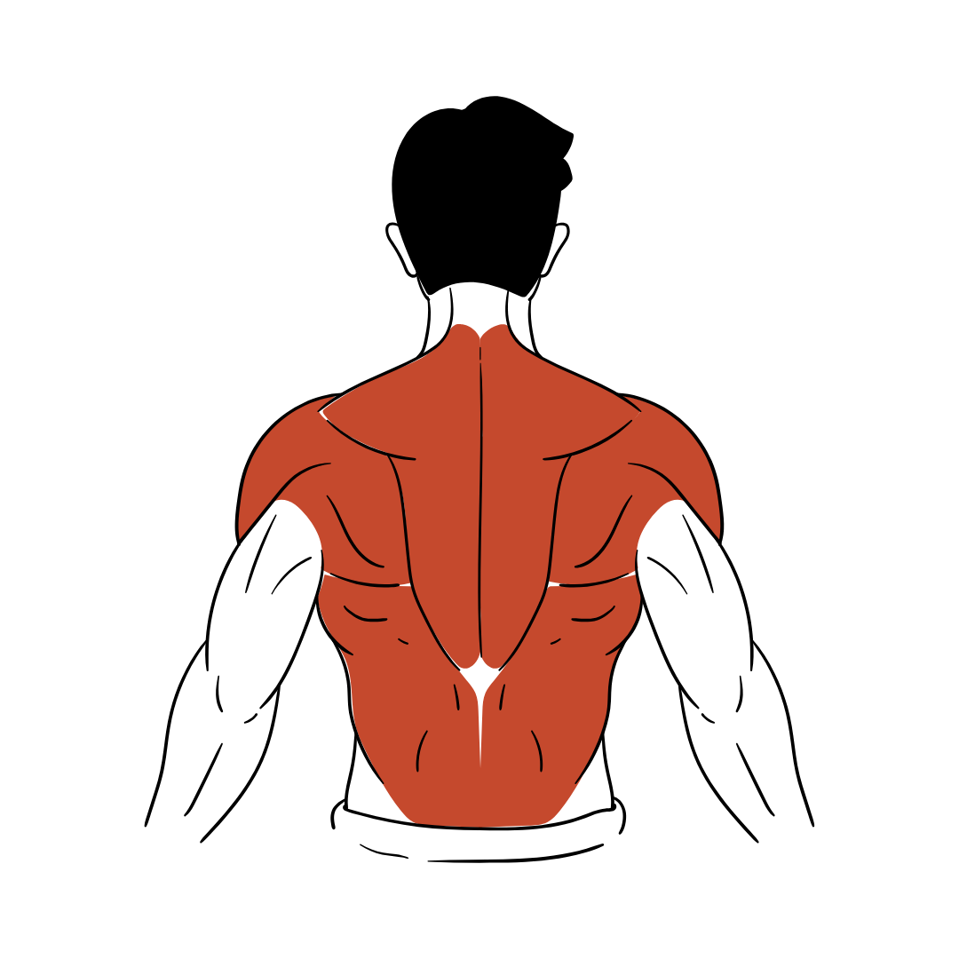 Shoulder Pain Relief Starter Plan (At Home)