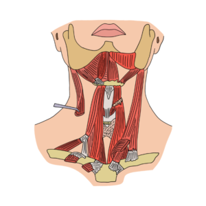 Fix Neck Pain & Nerve Symptoms (Without Surgery)